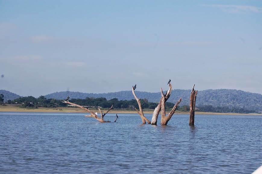 The Peepal Tree, Kabini Begur Bagian luar foto