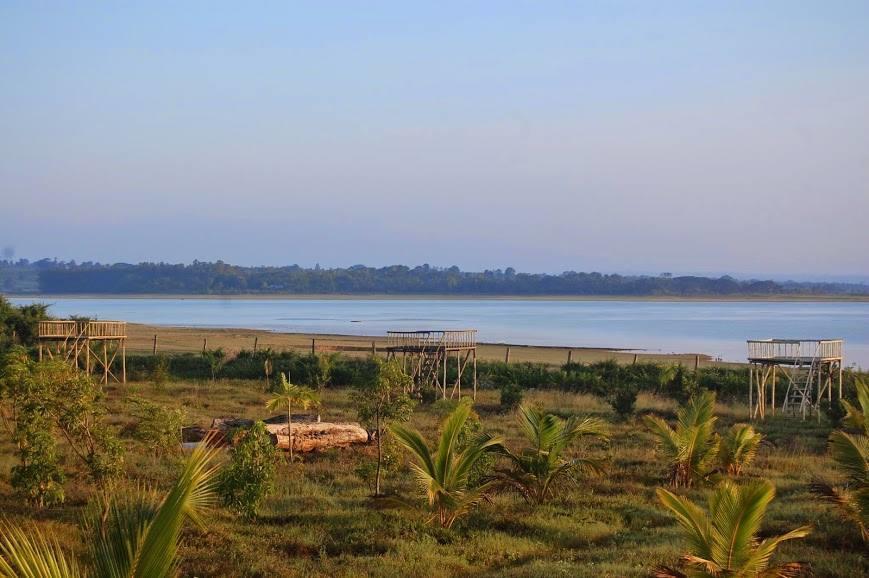 The Peepal Tree, Kabini Begur Bagian luar foto