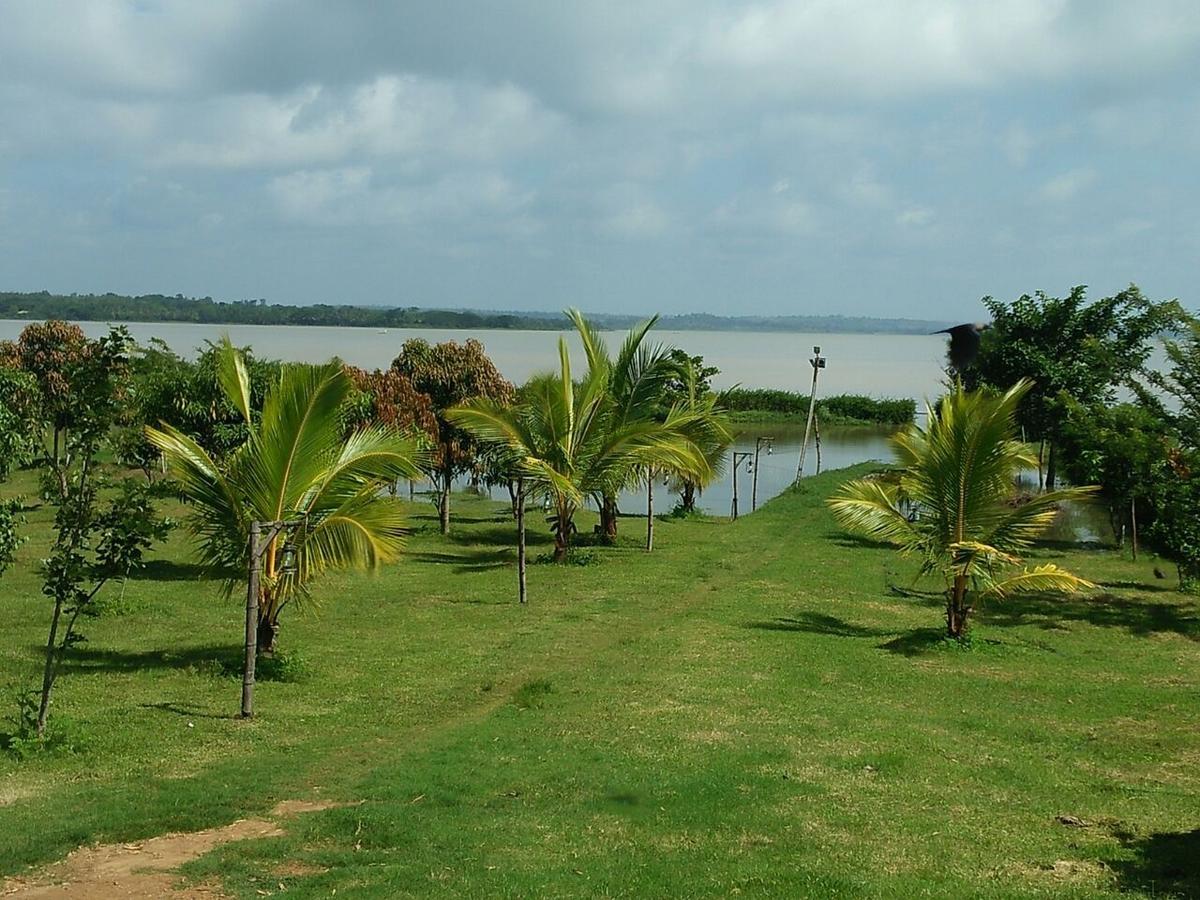 The Peepal Tree, Kabini Begur Bagian luar foto
