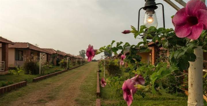 The Peepal Tree, Kabini Begur Bagian luar foto